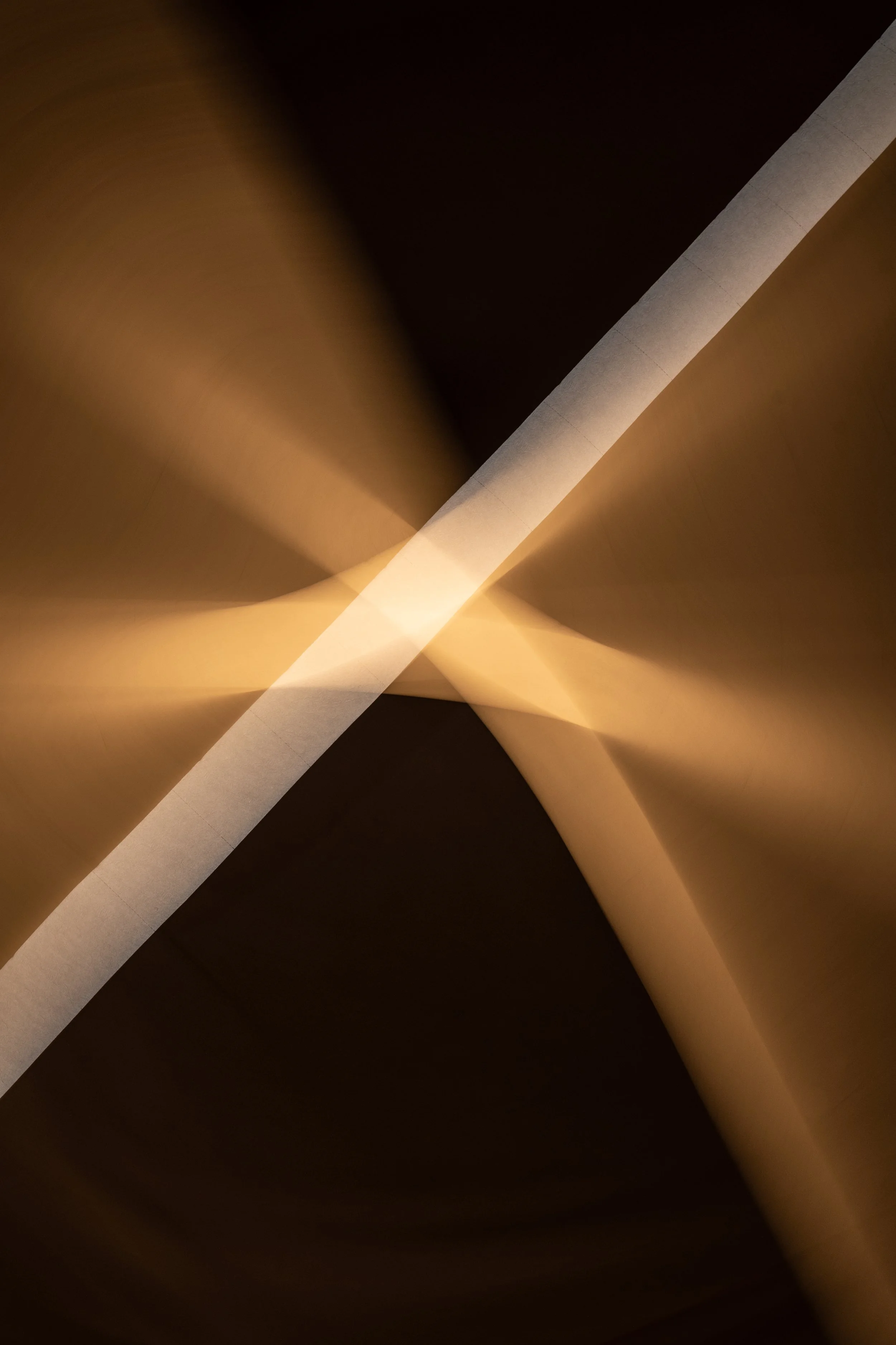 L1010355.jpg