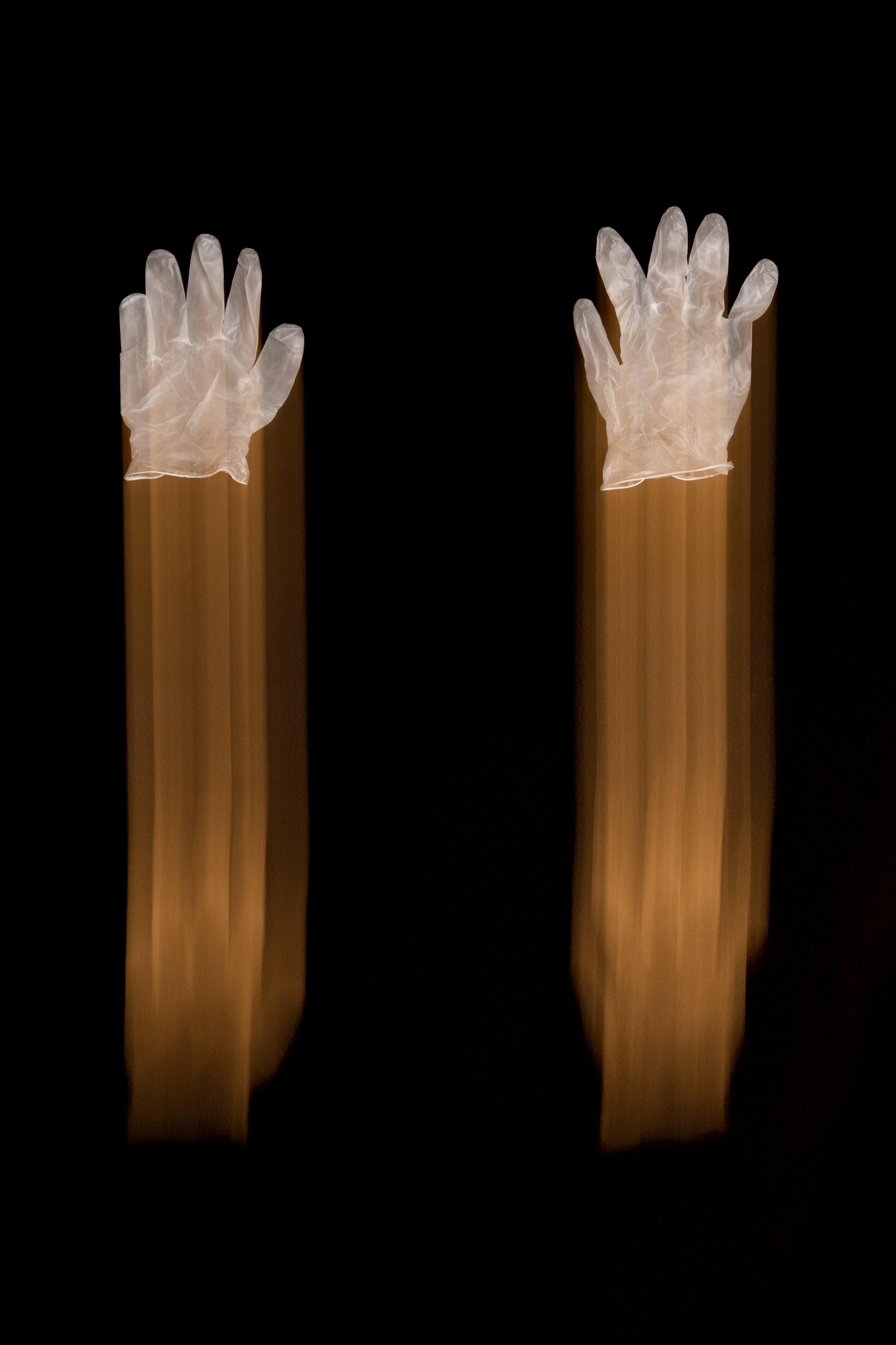 L1020366.jpg