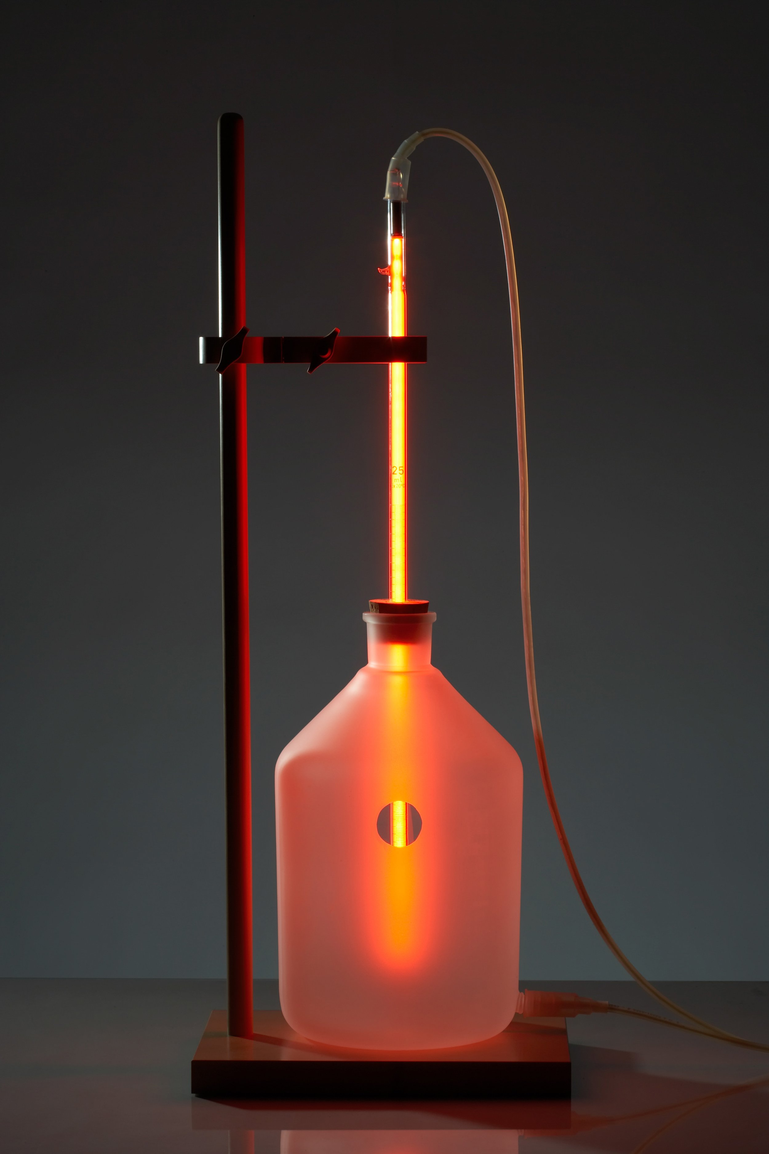 RolfSachs_neon_dilution_2.jpg