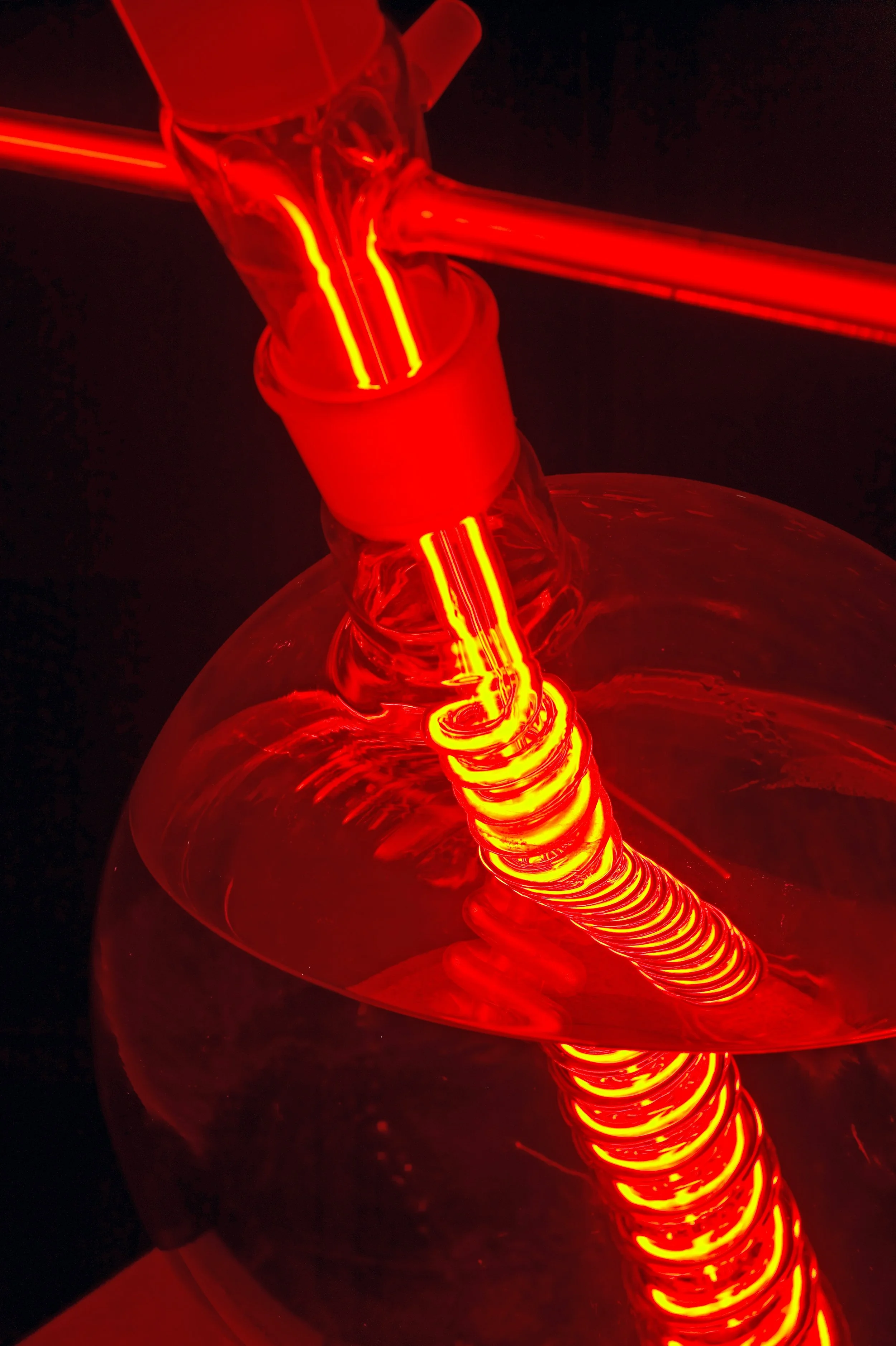 rolfsachs_neon_immersion_4.jpg