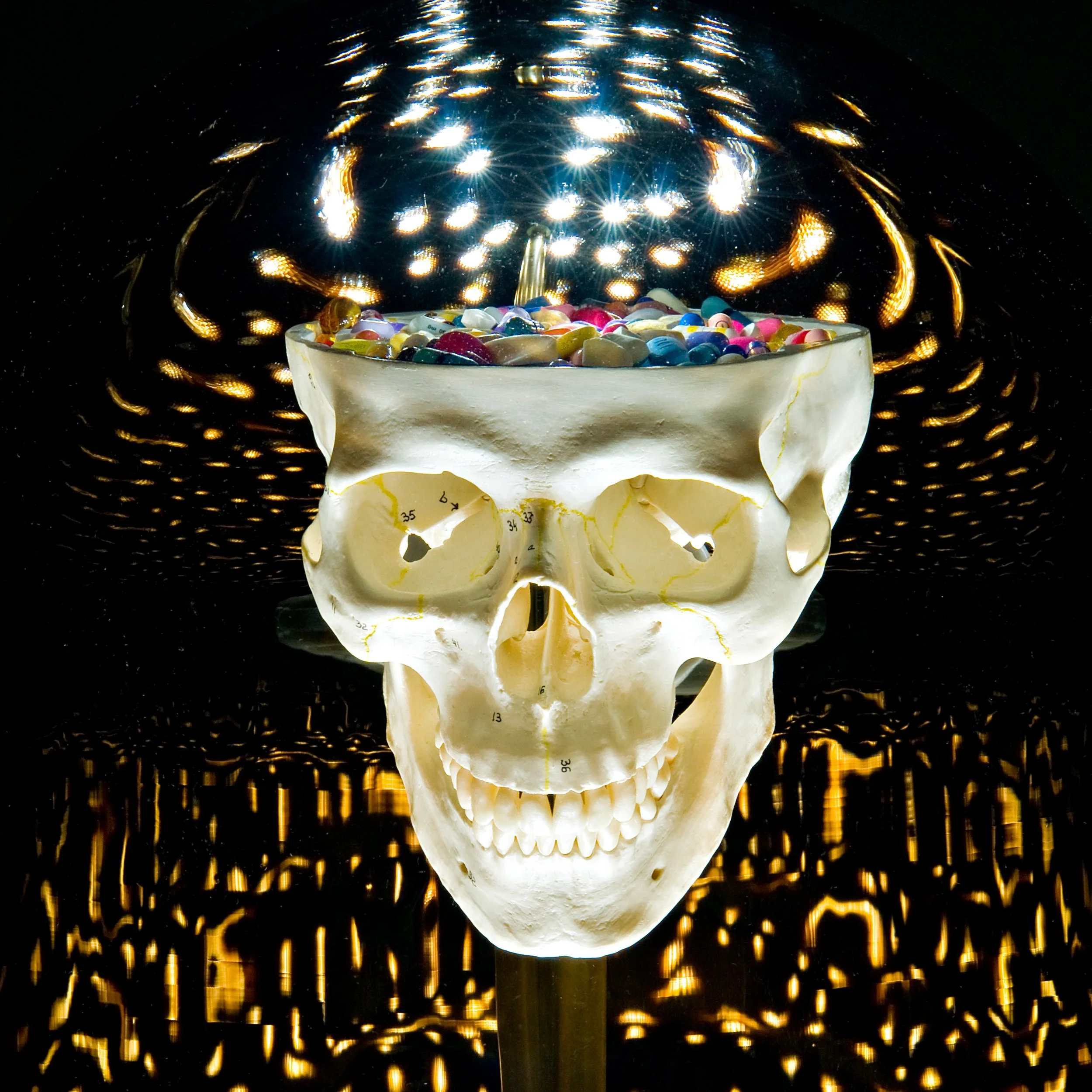 RolfSachs_curiosities_addict_us_2.jpg