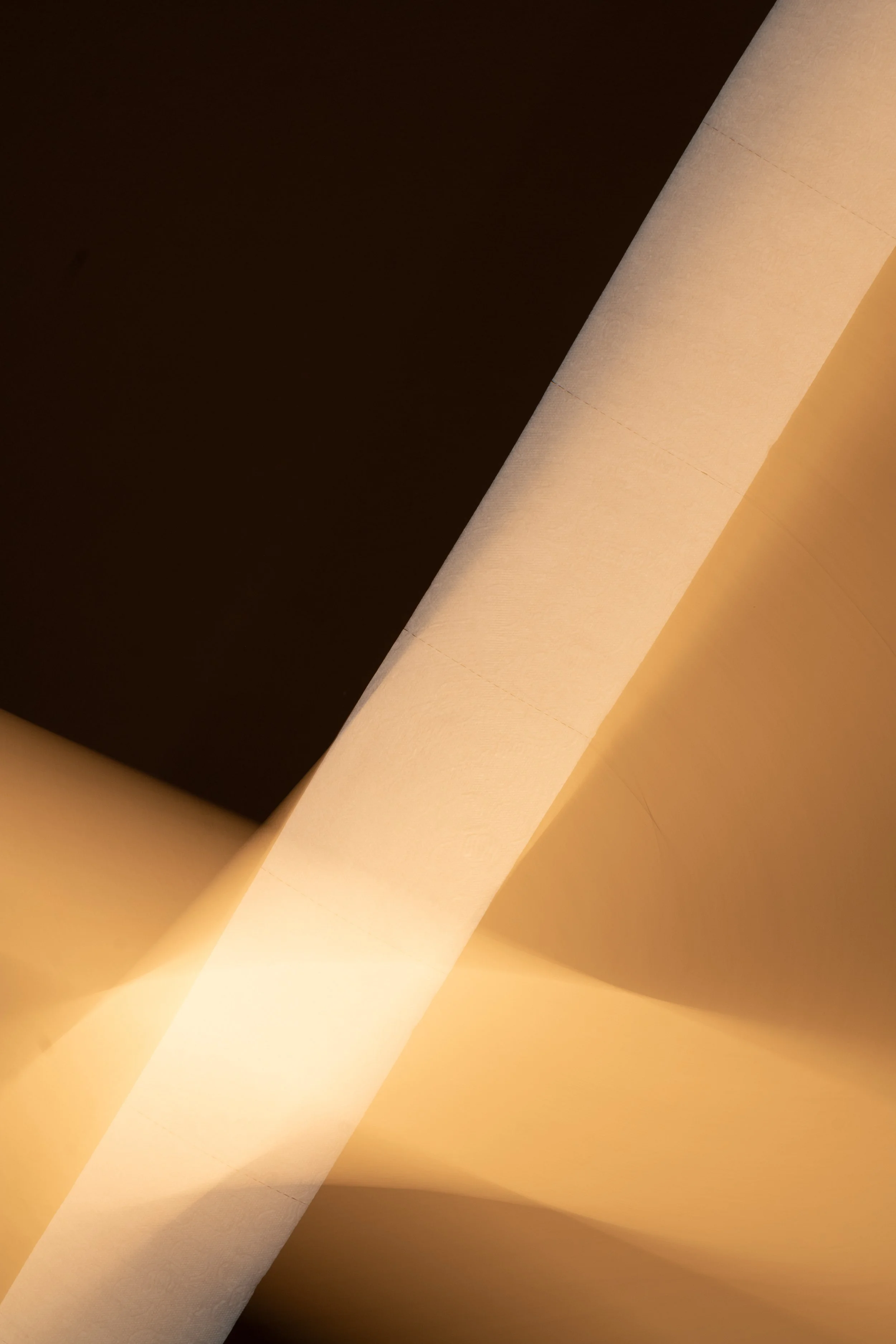 L1010382.jpg