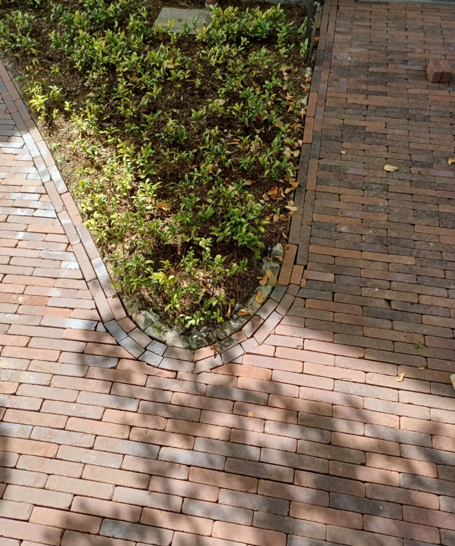 Een tuinpad met roodbruine klinkers en een bloemenborder met groene planten, afgezet met kleine stenen.