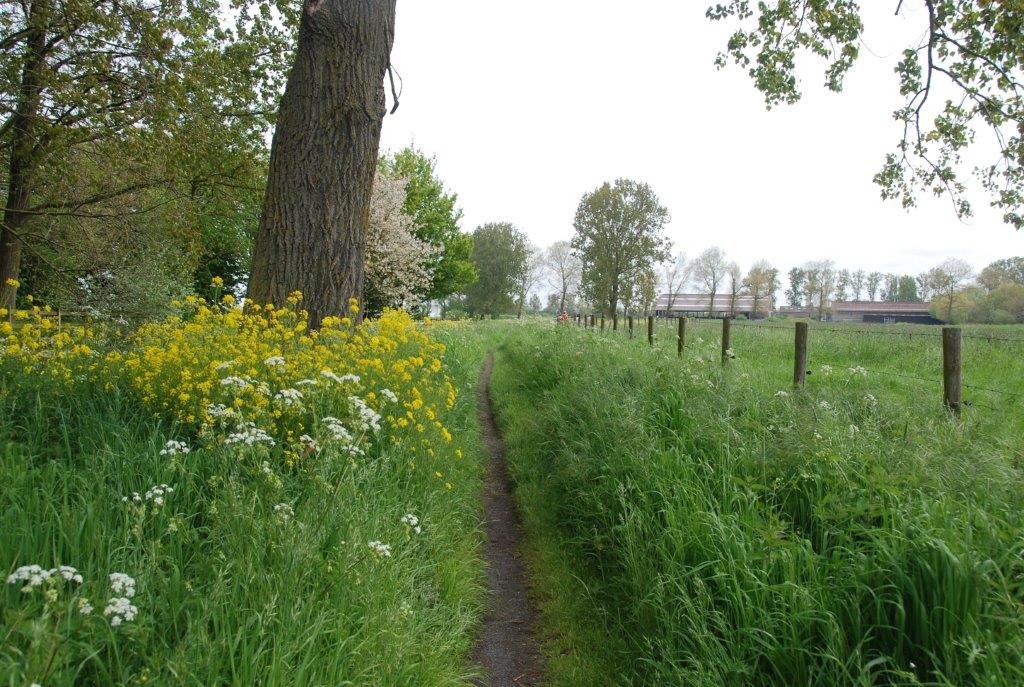20230506_Butterblommetocht Alverimgem_ (klein) (50).jpg