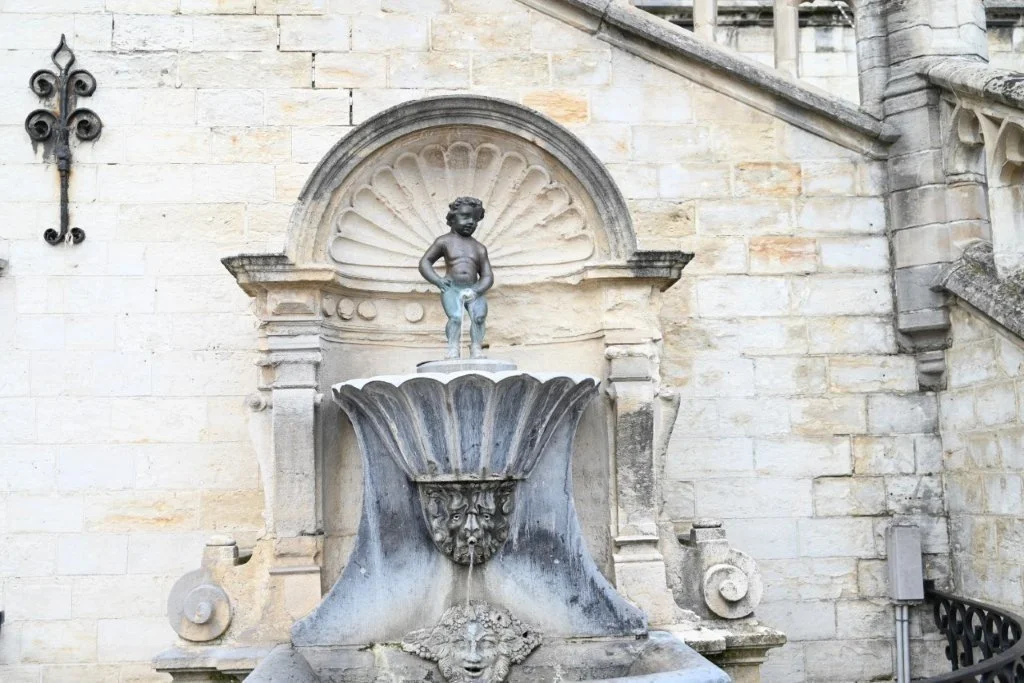 20260125_Manneken Pis-tocht (kl) (35).jpg