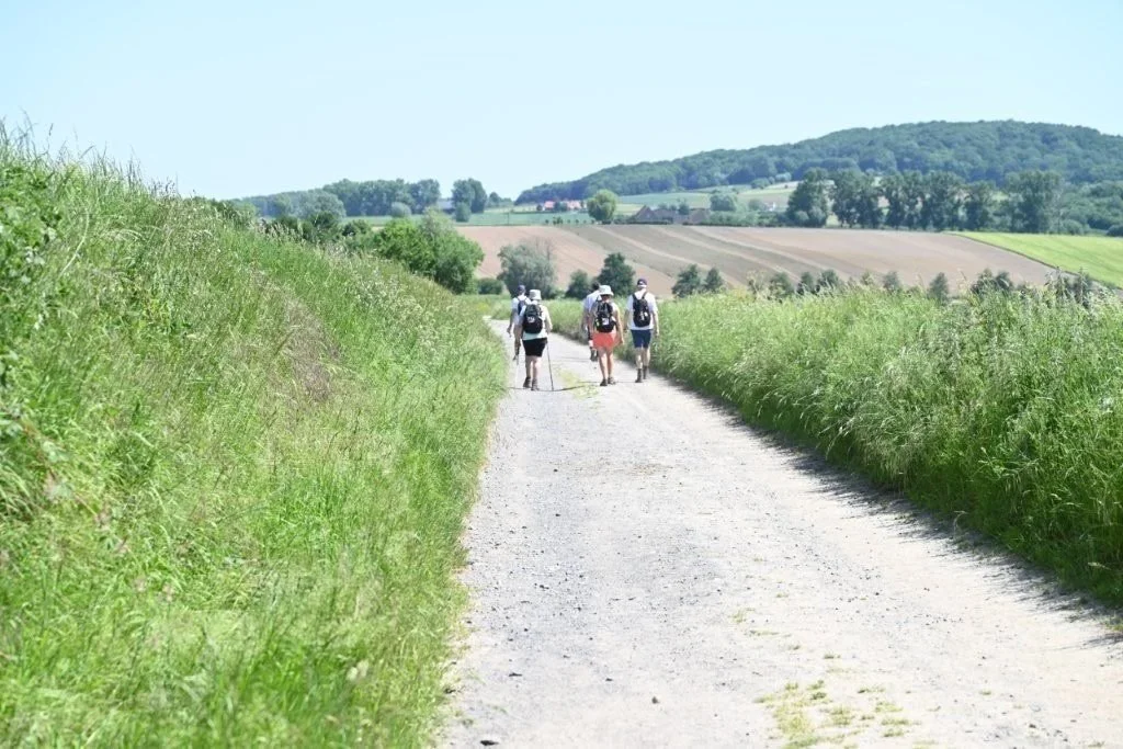 20260525_Wijngaardtocht van Heuvellandstappers (gr) (25).jpg
