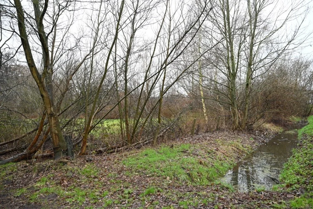 20260222_Zoersel_Trappistentocht (kl) (20).jpg