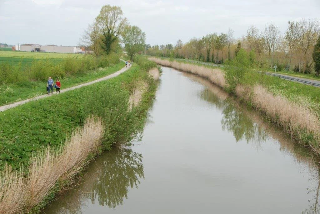 20230506_Butterblommetocht Alverimgem_ (klein) (40).jpg