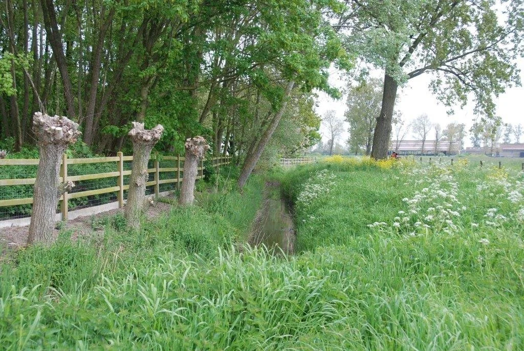 20230506_Butterblommetocht Alverimgem_ (klein) (49).jpg
