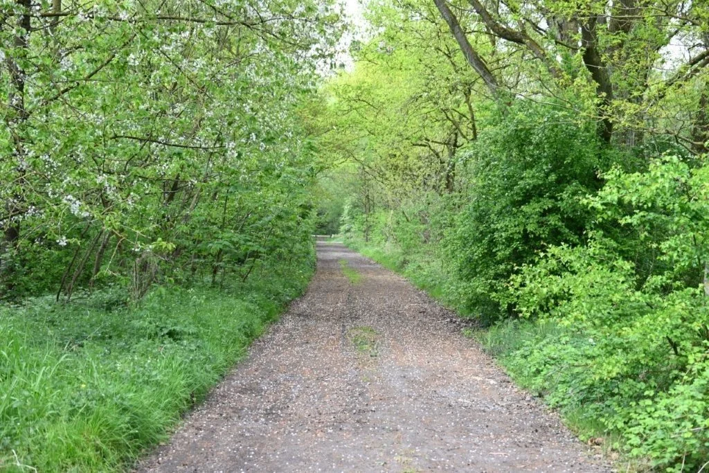 20250421_Oostkamp (klein) (37).jpg