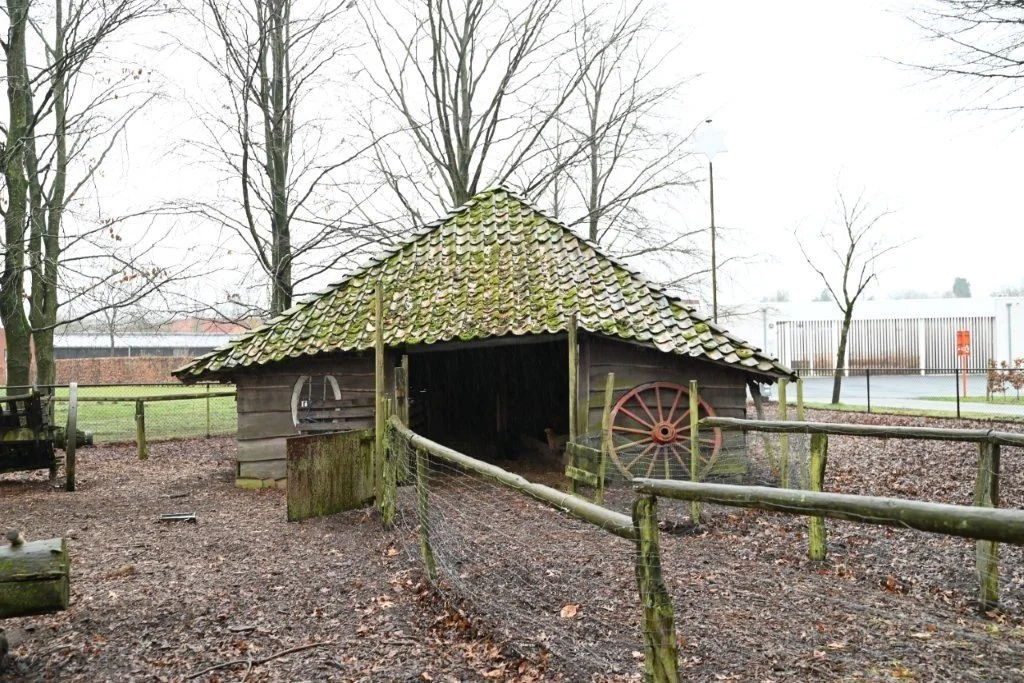 20260222_Zoersel_Trappistentocht (kl) (26).jpg