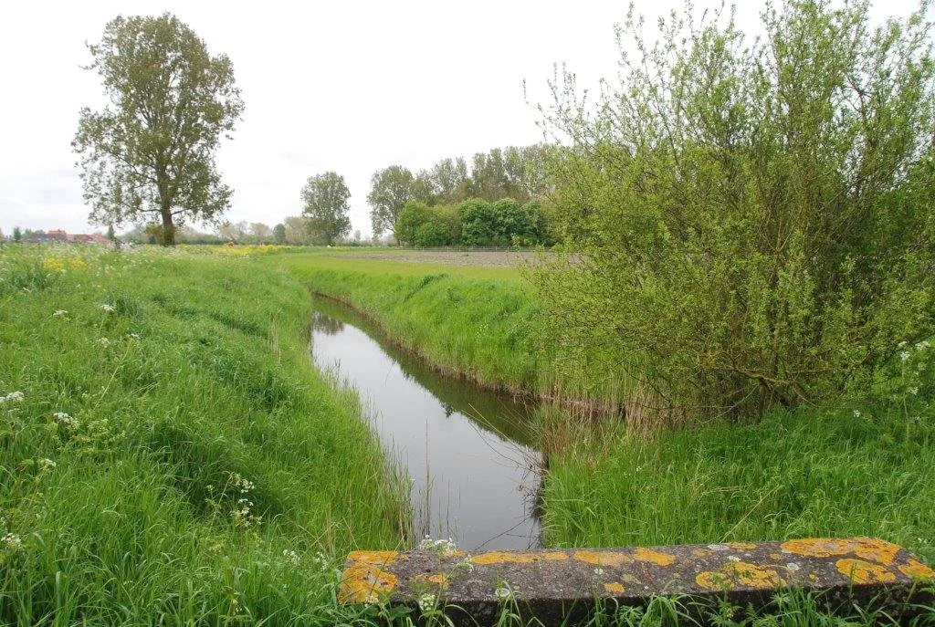 20230506_Butterblommetocht Alverimgem_ (klein) (52).jpg