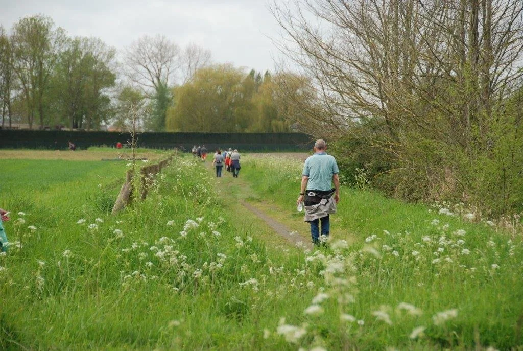20230506_Butterblommetocht Alverimgem_ (klein) (60).jpg