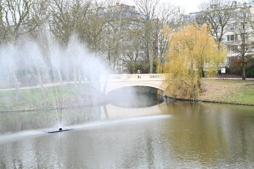 20251220_Kerstwandeling (gr) (22).jpg