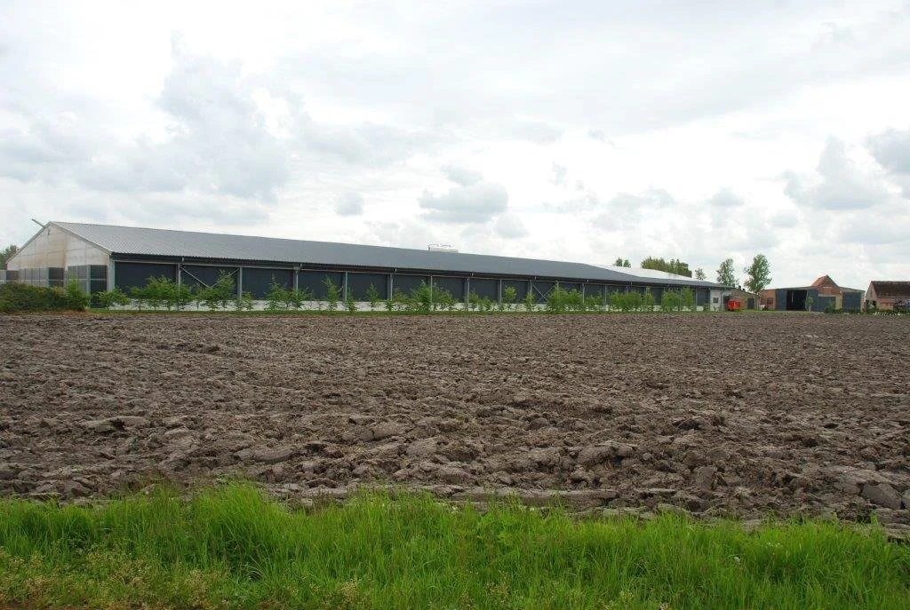 20230506_Butterblommetocht Alverimgem_ (klein) (83).jpg