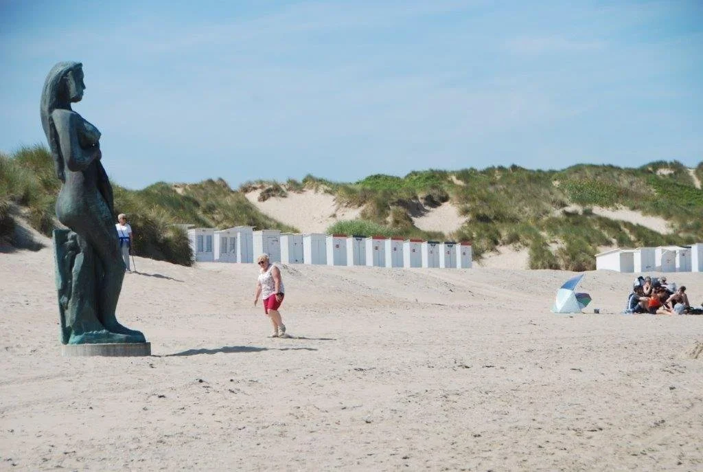 20240629_paardenvisser (klein (31).jpg