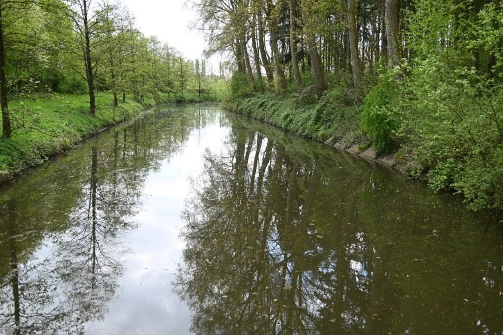 20250421_Oostkamp (klein) (44).jpg