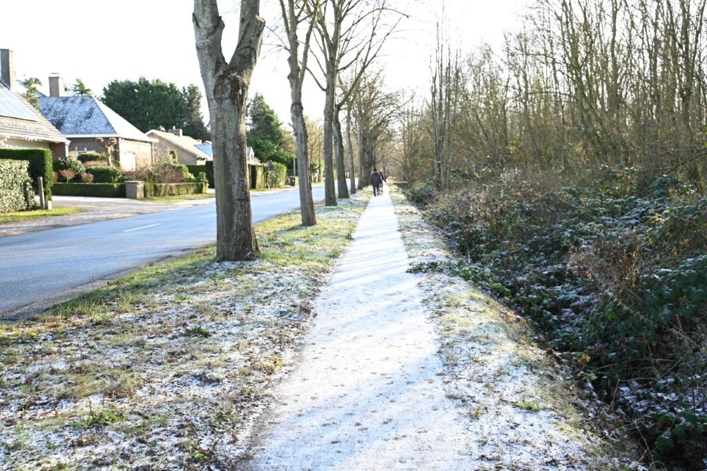 20260104_Nieuwjaarstocht De Pinte (groot) (21).jpg