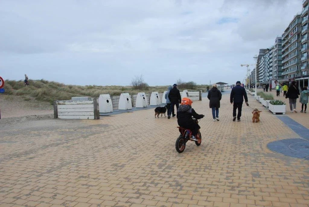 20240404_jachthaven (klein) (32).jpg
