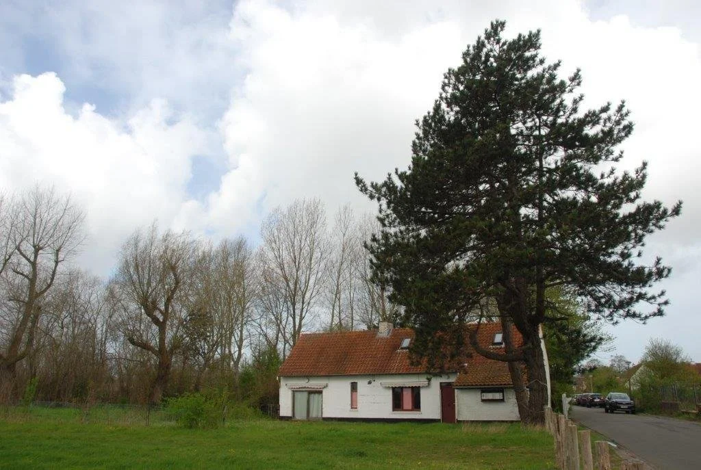 20240404_jachthaven (klein) (14).jpg