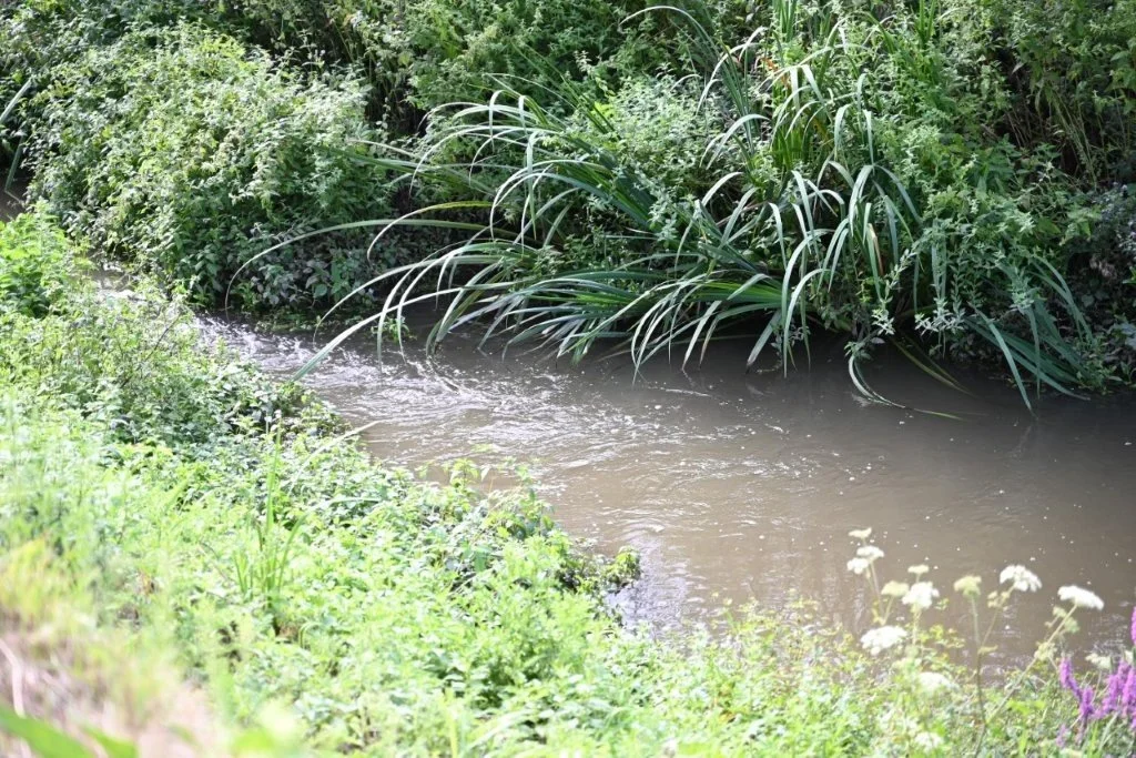 20260830_ Hoevetocht Zwalm kl (21).jpg