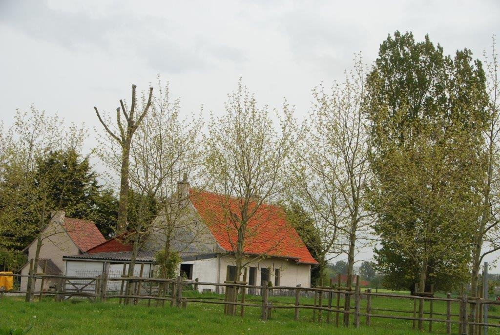 20230506_Butterblommetocht Alverimgem_ (klein) (28).jpg