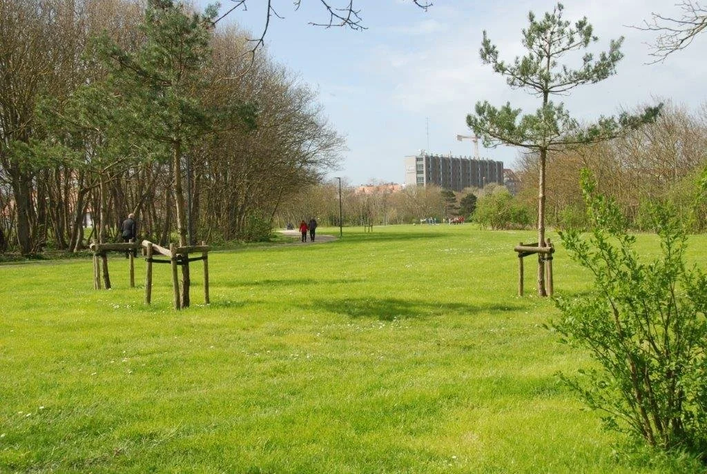 20240404_jachthaven (klein) (44).jpg