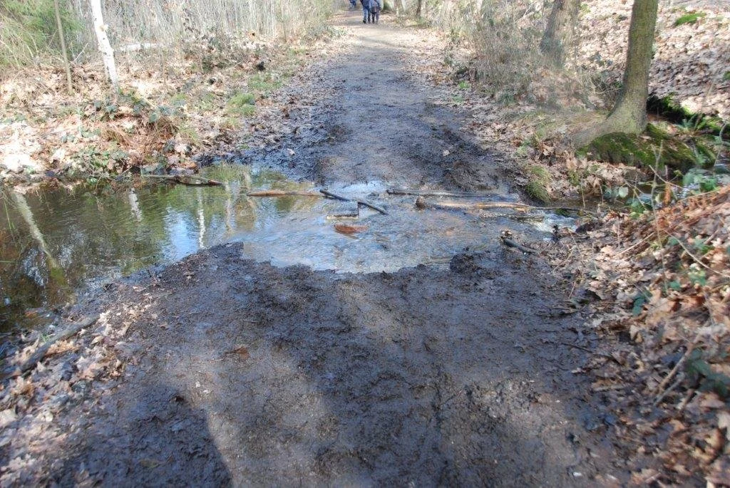 20230311_Hasselt Bokrijk (klein) (78).jpg