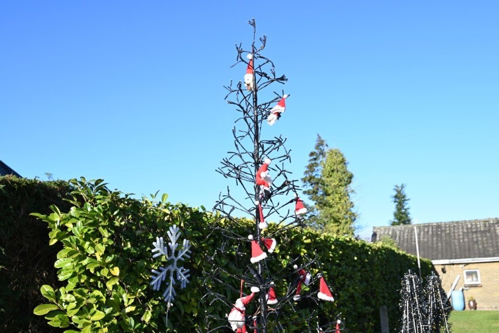 20260104_Nieuwjaarstocht De Pinte (groot) (14).jpg