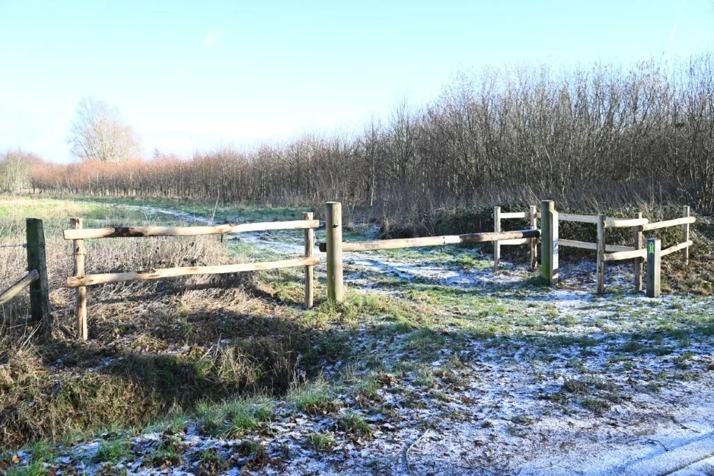 20260104_Nieuwjaarstocht De Pinte (groot) (19).jpg