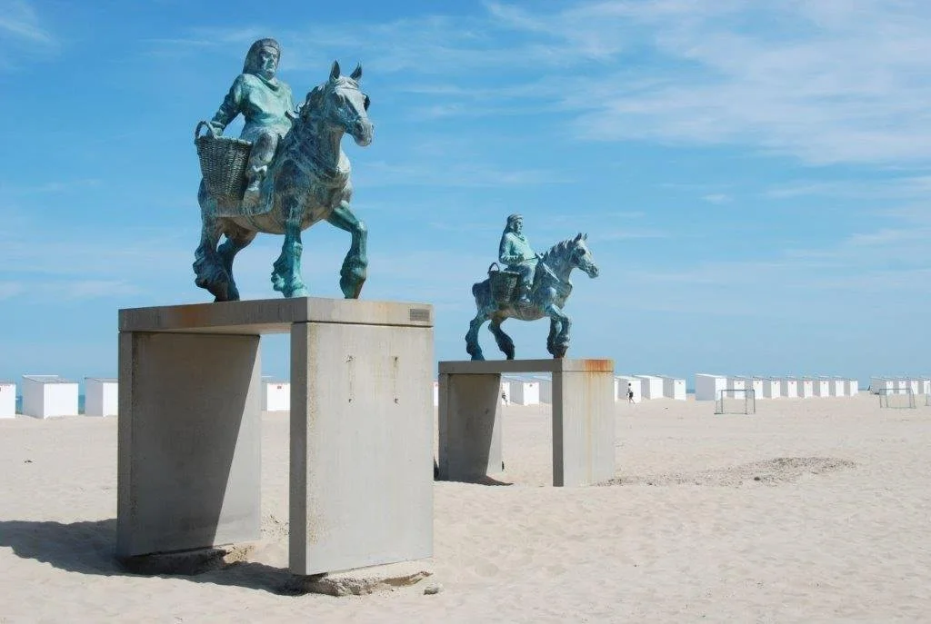 20240629_paardenvisser (klein (34).jpg