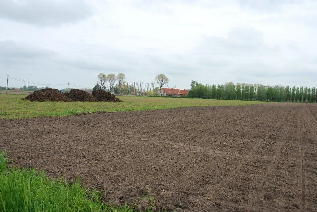 20230506_Butterblommetocht Alverimgem_ (klein) (22).jpg