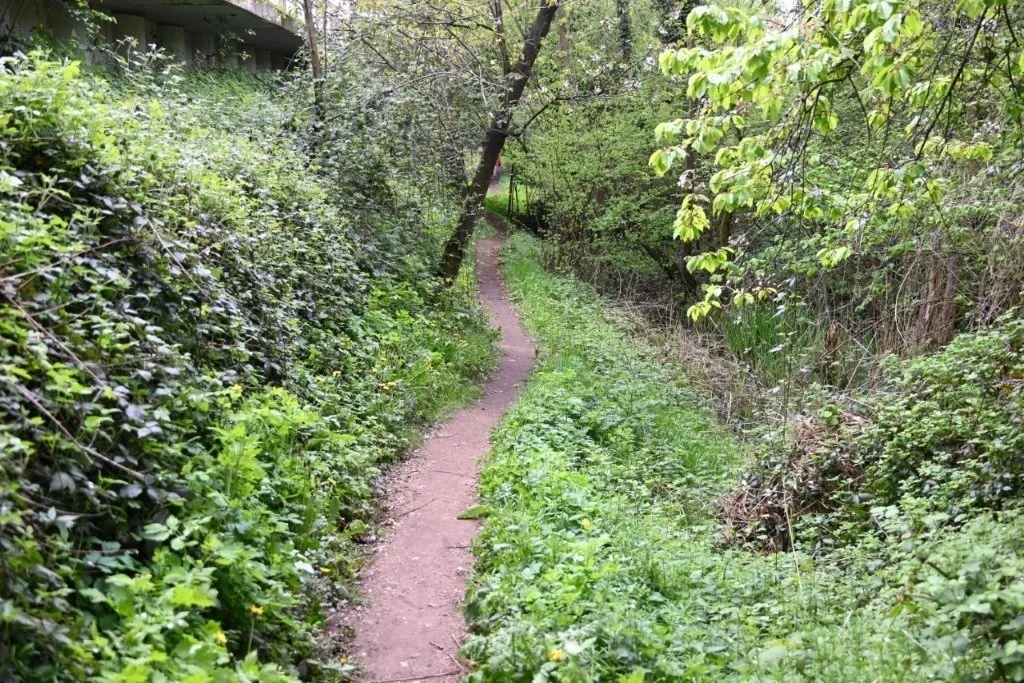 20250421_Oostkamp (klein) (39).jpg