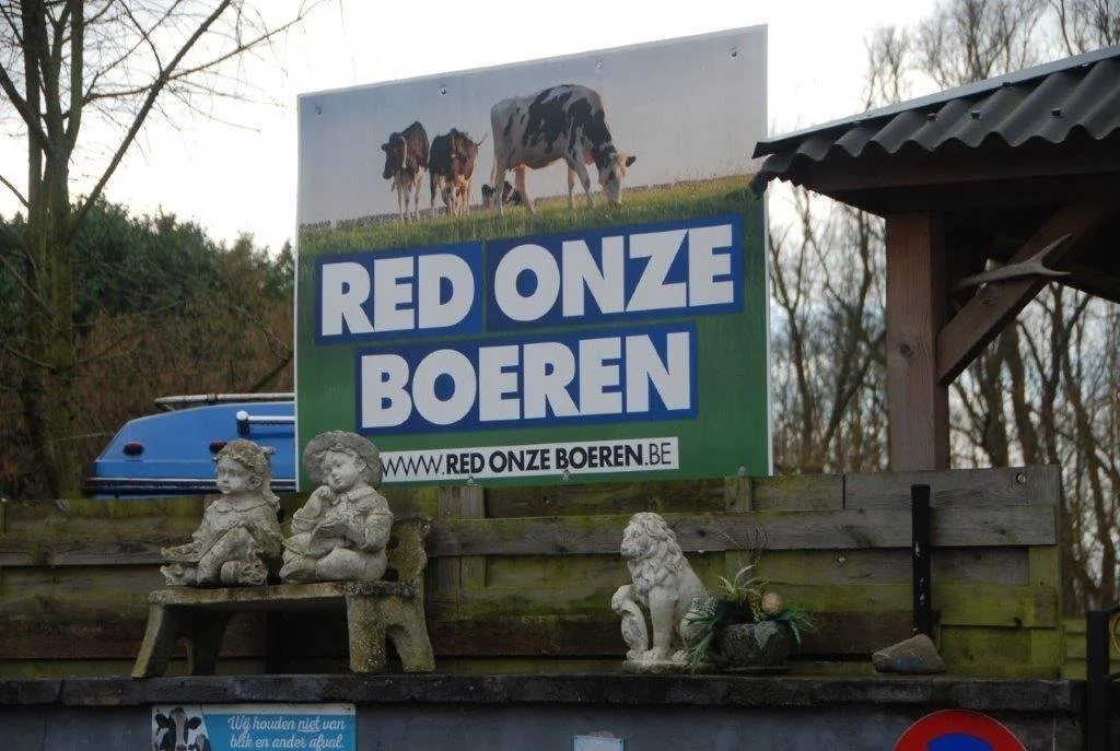 20240211_Hemiksem (39).jpg