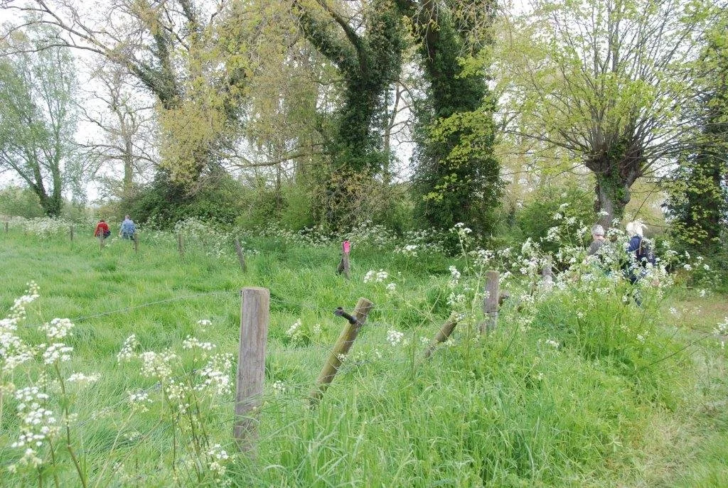 20230506_Butterblommetocht Alverimgem_ (klein) (44).jpg