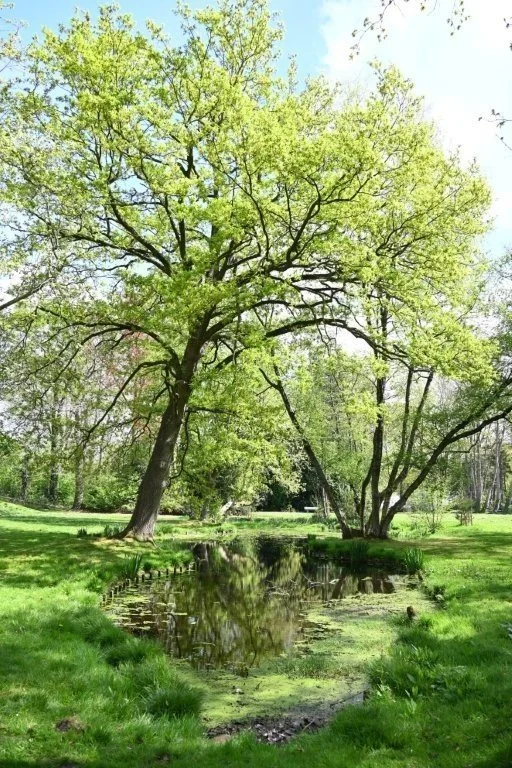 20250421_Oostkamp (klein) (23).jpg