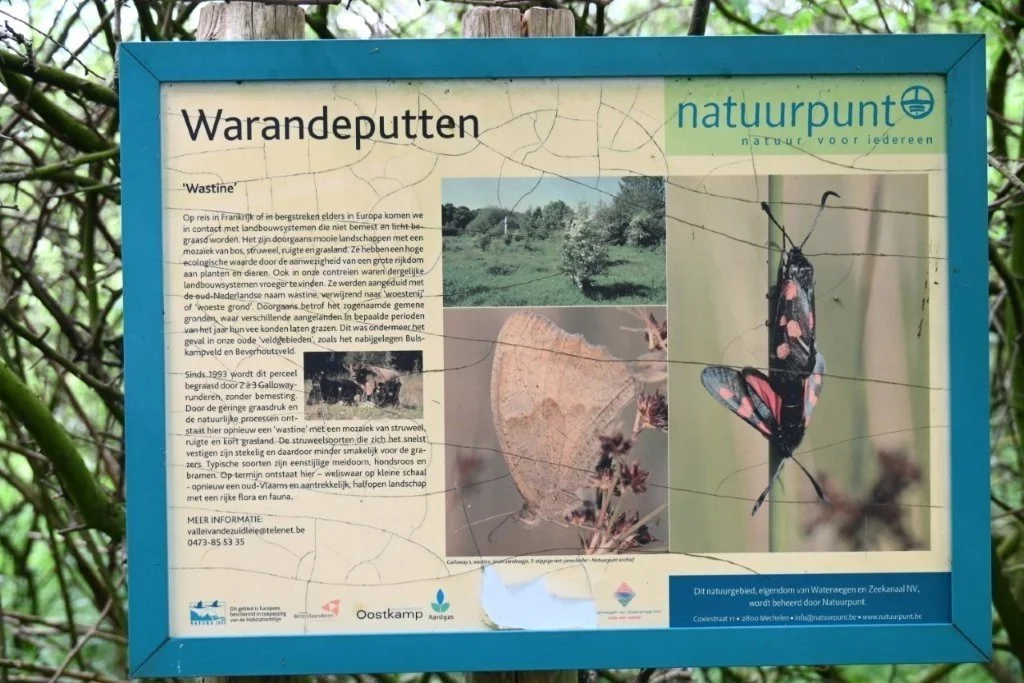 20250421_Oostkamp (klein) (38).jpg