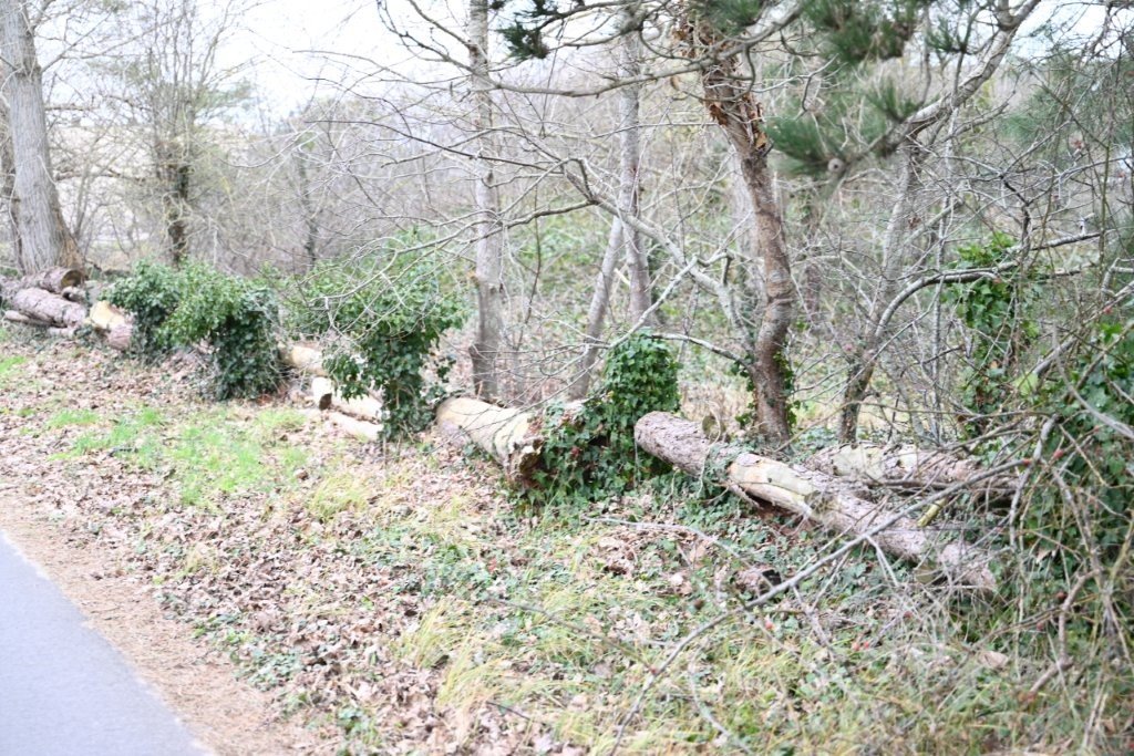 20260215_Kruwerstocht (gr) (21).jpg