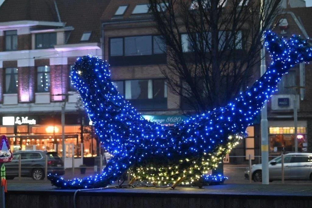 20241224_ Geeraerttocht (klein) (44).jpg