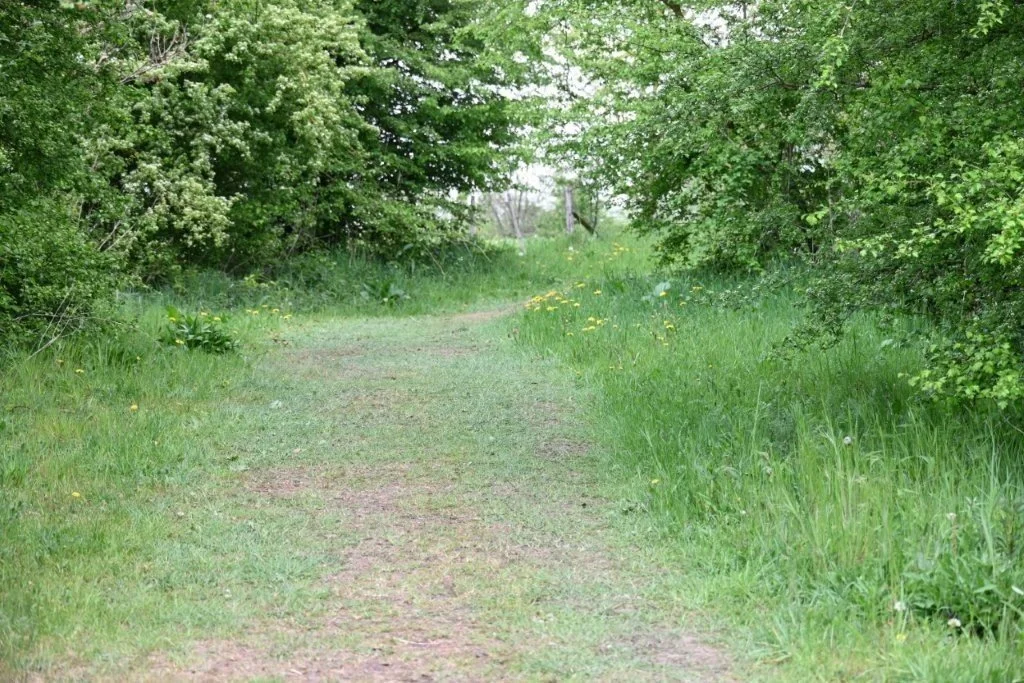 20250421_Oostkamp (klein) (45).jpg