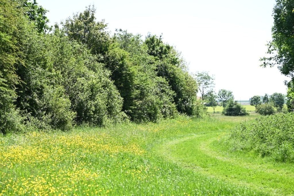 20260525_Wijngaardtocht van Heuvellandstappers (gr) (37).jpg