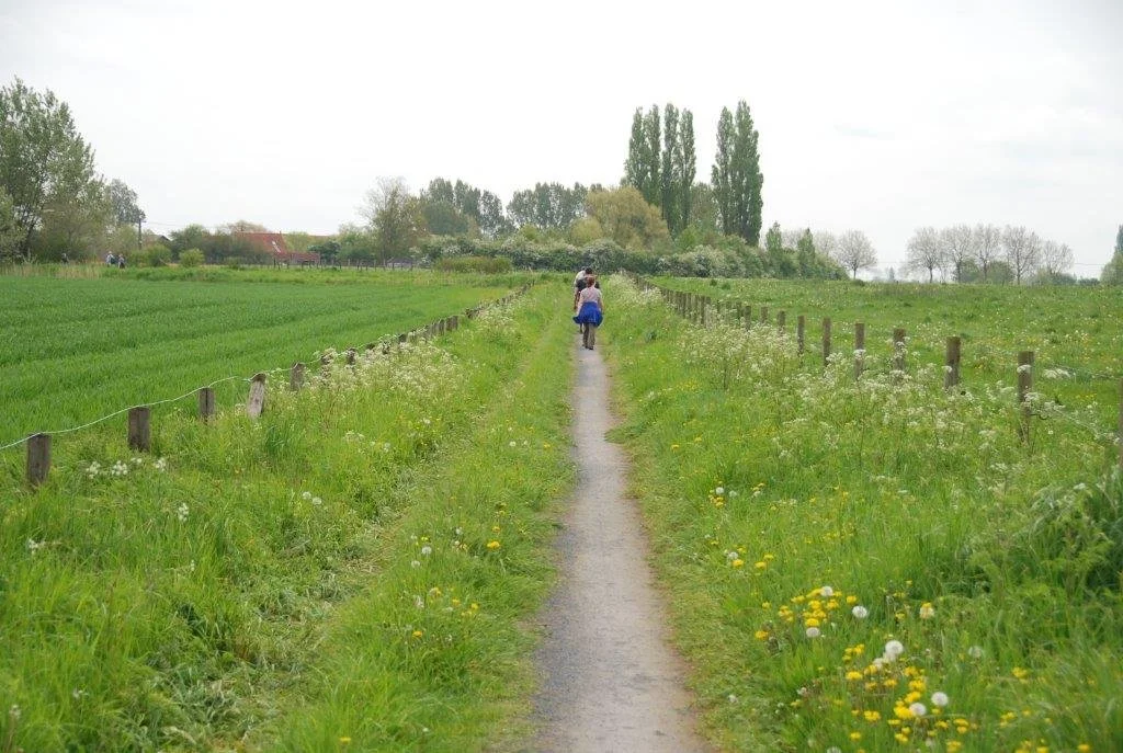 20230506_Butterblommetocht Alverimgem_ (klein) (55).jpg