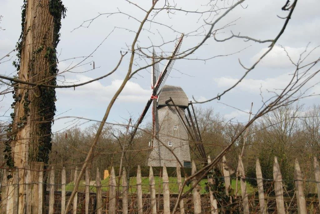 20230311_Hasselt Bokrijk (klein) (37).jpg