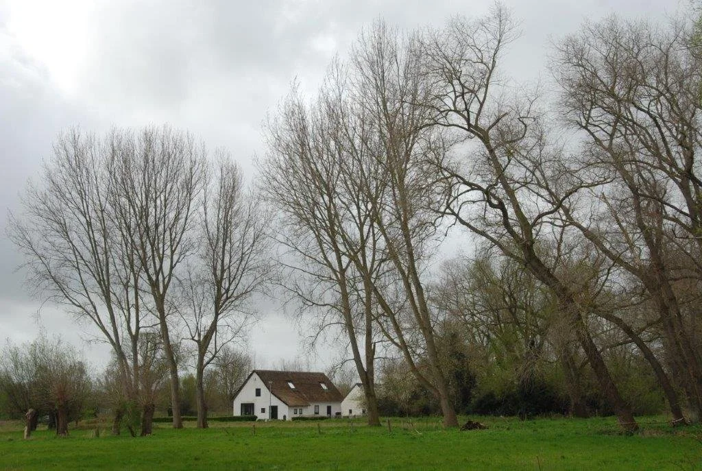 20240404_jachthaven (klein) (15).jpg
