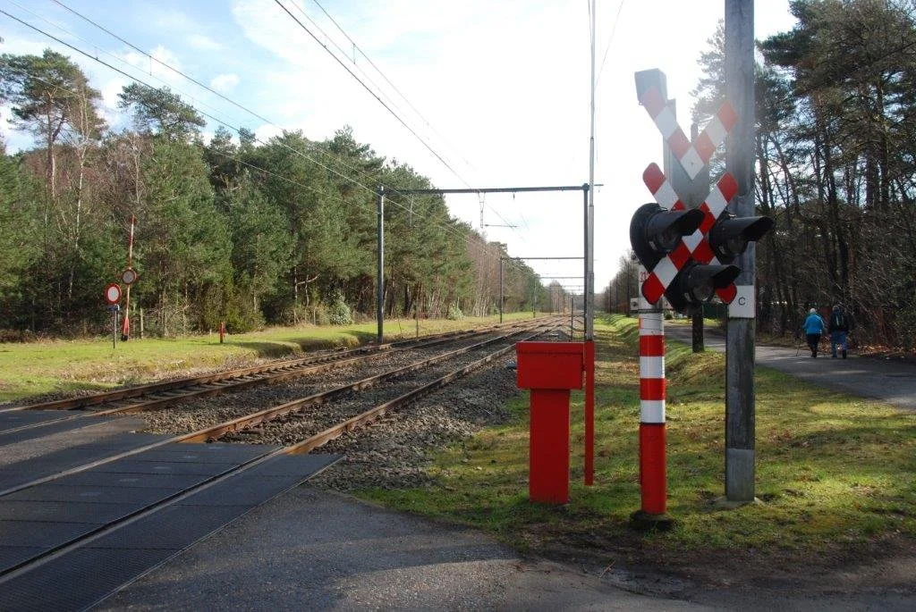 20230311_Hasselt Bokrijk (klein) (21).jpg