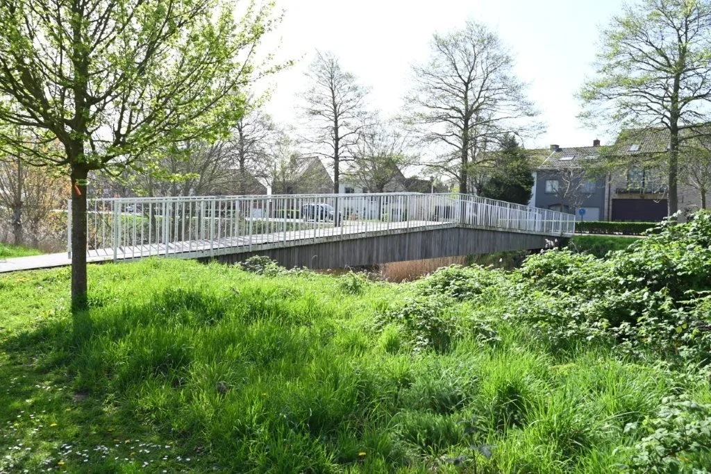 20260409_Jachthaventocht (gr) (25).jpg