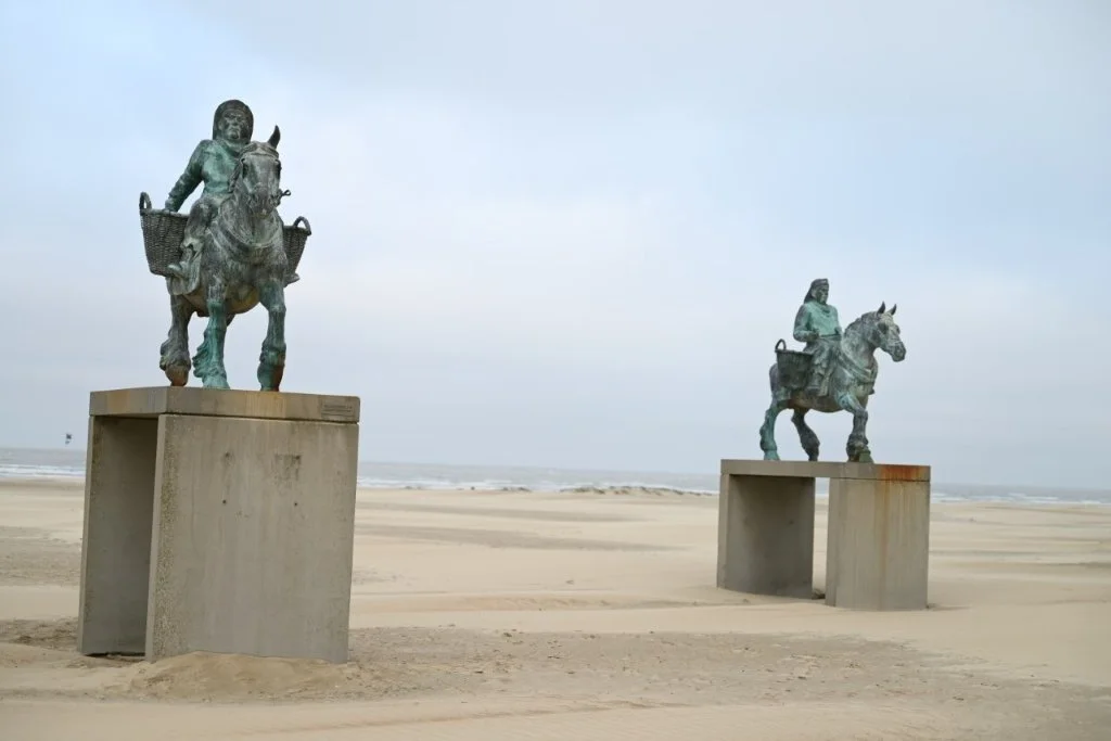 20251227_Winterwandeldag (groot) (26).jpg