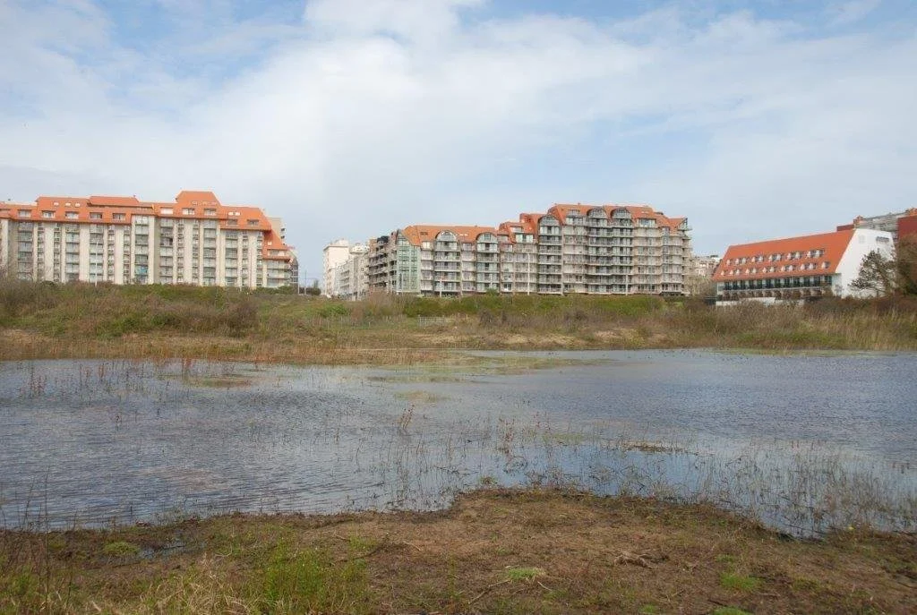 20240404_jachthaven (klein) (28).jpg