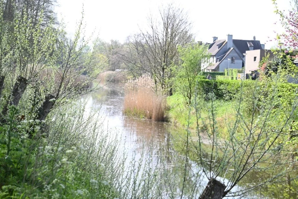 20260409_Jachthaventocht (gr) (15).jpg