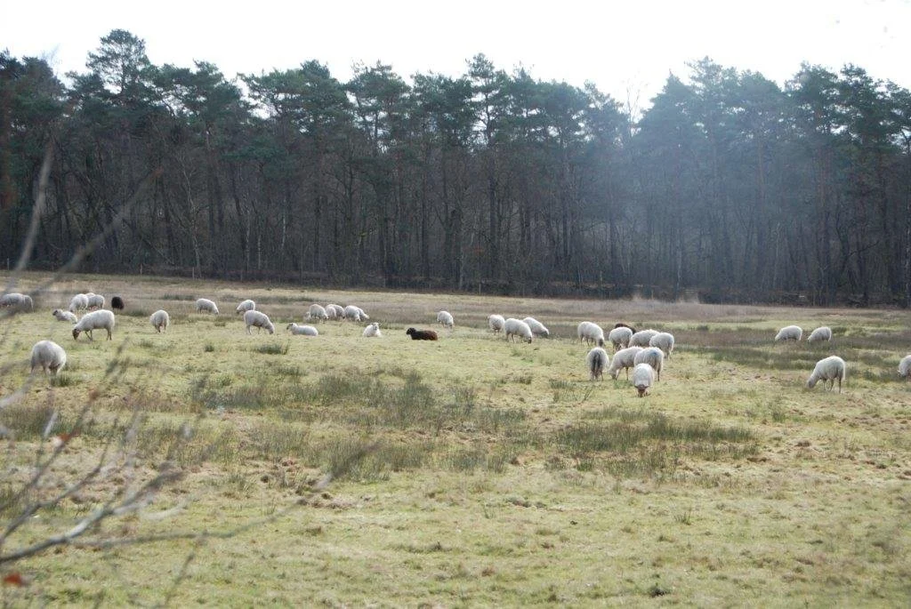 20230311_Hasselt Bokrijk (klein) (58).jpg